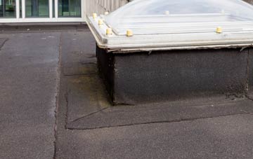 disadvantages of Theale flat roofs