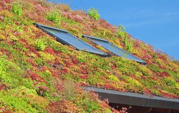 Theale living roof systems
